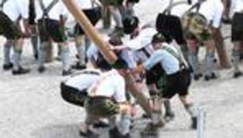 Brauchtum: »Maibaum Hunters« - Serie über das Maibaum-Klauen in Bayern