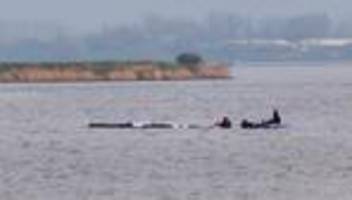 Fotografie: Bilder des Tages