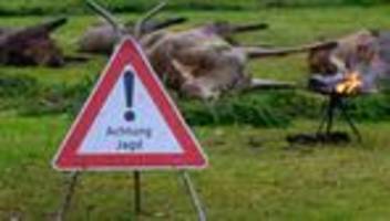 Jägerprüfungen 2025: 895 Jägerprüfungen: Fast jeder Zweite fällt durch