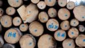 Mit Holz heizen: Brennholz weiter gefragt - Wie man beim Einkauf spart