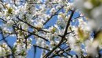 Wetter: Frühlingshafter Start ins Wochenende