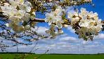 Wetter: Milde Temperaturen zum Wochenende in Berlin und Brandenburg