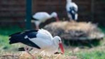Wetterbericht: Wolken und Regen zum Ende der Woche, aber frühlingshaft warm