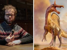 Paläontologie: Die Dino-Detektive