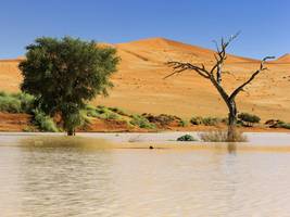 Einmal im Leben: Die Wüste unter Wasser