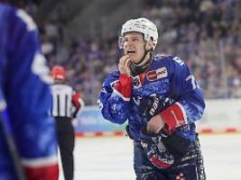 eisbären haben 'nen hai am haken: durstige adler mannheim verschlucken red bull