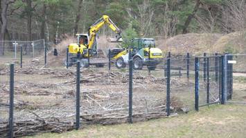 hier erobert sich die natur einen legendären fußballplatz in berlin zurück