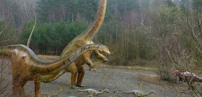 Patagonien: Schafhirte entdeckt Dino-Riesen Bicharracosaurus dionidei