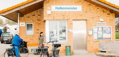 rettungsaktion wal in poel: warum alle froh sind, wenn der wal weg ist