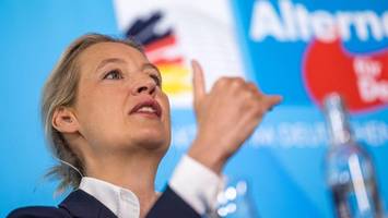 afd auch im zdf-„politbarometer“ stärkste kraft – spd rutscht weiter ab