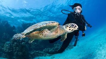 Gehalt, Arbeitszeit: Wie zufrieden sind die Hamburger mit ihrem Job?