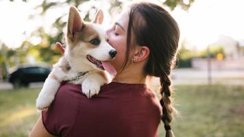 Hatte nicht erwartet, ihn wiederzusehen: Chantal findet ihren vermissten Hund auf Verkaufsplattform