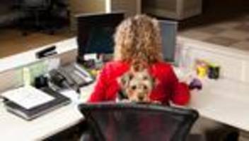 Beamte: Die Unbestechlichen