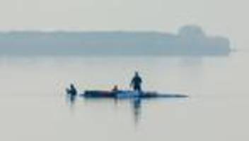 gestrandeter wal: eine zunehmend seltsame rettungsaktion