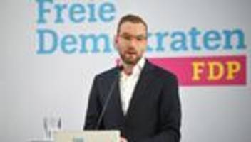 Landesparteitag: FDP-Landeschef favorisiert Höne für FDP-Bundesspitze