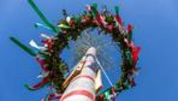Maibaum-Tradition: Brandenburg begrüßt mit bunten Ritualen den Mai