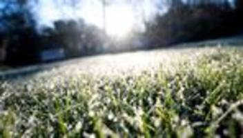 Wetterbericht: Zunächst mildes Wetter, dann kühl und wechselhaft