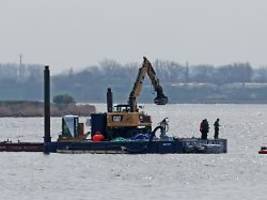 ist sehr, sehr beschwerlich: wal freigespült - aber transport verzögert sich