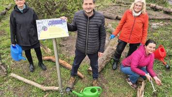 Wild und grün: Wo die Hummeln in Berlin im Paradies sind
