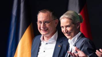 aktuelle umfrage: afd mit neuem rekord – die union taumelt