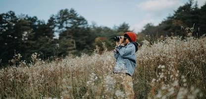 »birding«: warum vögel beobachten auf einmal cool ist