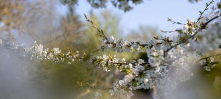 sonne-wolken-mix mit schauern: so wird das wetter zum wochenstart in bayern