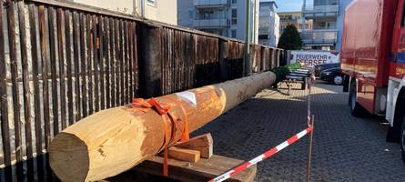 tradition hin oder her: feuerwehr aus pfersee geht rigoros gegen maibaumdiebe vor