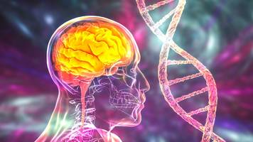 alzheimer: 7 bausteine, die ihr gehirn vor demenz schützen