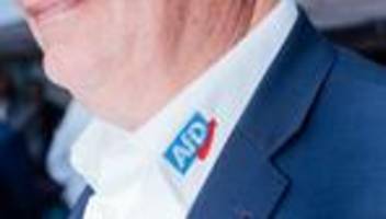 AfD und Wirtschaft: Hier bröckelt die Brandmauer