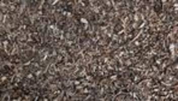 Brände: Feuer in Holzlager und Heizwerk - 500.000 Euro Schaden