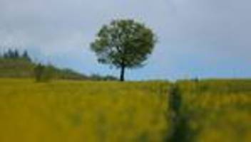 Wetter: Wechselhaftes Wetter zum Wochenstart in Hessen