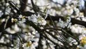 Wetter in Bayern: Erster Gewittersonntag des Jahres