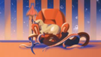 verhaltensforschung: träumt der krake von der krabbe?