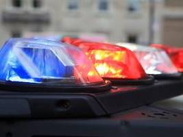 Täter wohl der eigene Vater: Acht Kinder in den USA erschossen