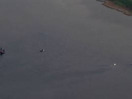 wir wären gerne schneller: privatinitiative hält an rettungsversuch für buckelwal fest