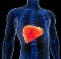 Wissenschaftler mit düsterer Prognose: Fettleber wird weltweit zur Volkskrankheit