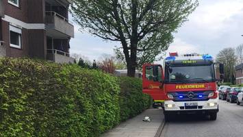 tür eingetreten: nachbar rettet seniorin (95) aus verqualmter wohnung