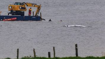 wal-retter im zeitplan zurückgeworfen – initiator: „wir brauchen ein wunder“