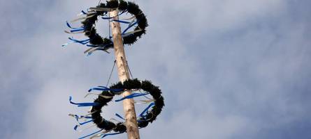 von bayern nach rom: maibaumdiebe mit reiseplänen erwischen den falschen baum