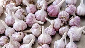 knoblauch mundgeruch loswerden: das können sie tun