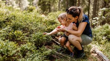 Fühlt sich an, als hätten wir die Kinder zurück: Familie tauscht Bildschirmzeit gegen Waldzeit