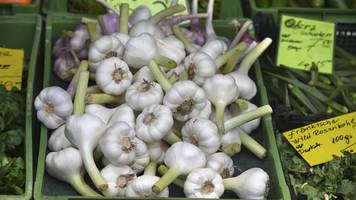 Frischer Knoblauch: Wissenswertes zur Zubereitung