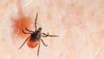 Tiere: Überlebenskünstler mit Risikofaktor: Zecken auf Vormarsch