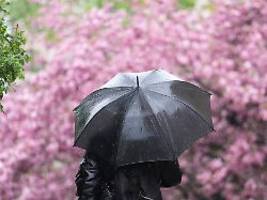 Deutschland zittert im April: Sind das schon die Eisheiligen?