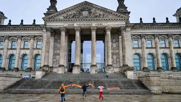 Neue Generation: Wie Aktivisten vor die Treppen am Bundestag gelangten