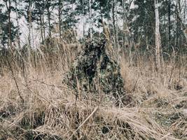 bundeswehr: getarnt wie ein chamäleon