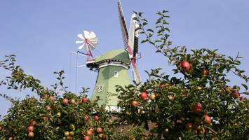 Idee aus Hamburg: KI soll Apfelernte im Alten Land revolutionieren