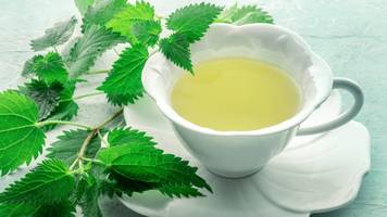 brennnesseltee: wirkung und nebenwirkungen im Überblick