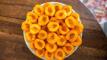 marille und aprikose: das ist der unterschied