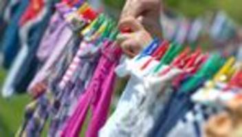 Gesellschaft: Mehr Familien mit mindestens drei Kindern